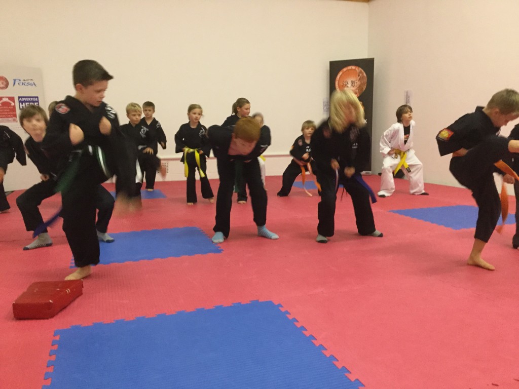 Kesshin Kai- Junior Ju-Jitsu Workshop | Kesshin Kai